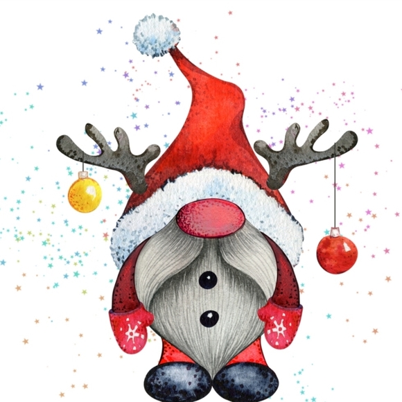 Poly Mailers 10x13 Rudolph SALE Poly mailers - Picture 4 of 4